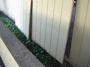 exterior-home-repair