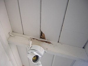 how-to-repair-termite-damage