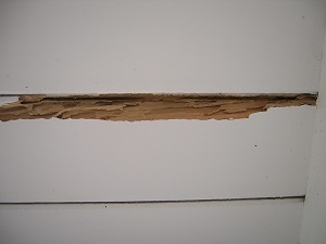 termite-wood-damage-2